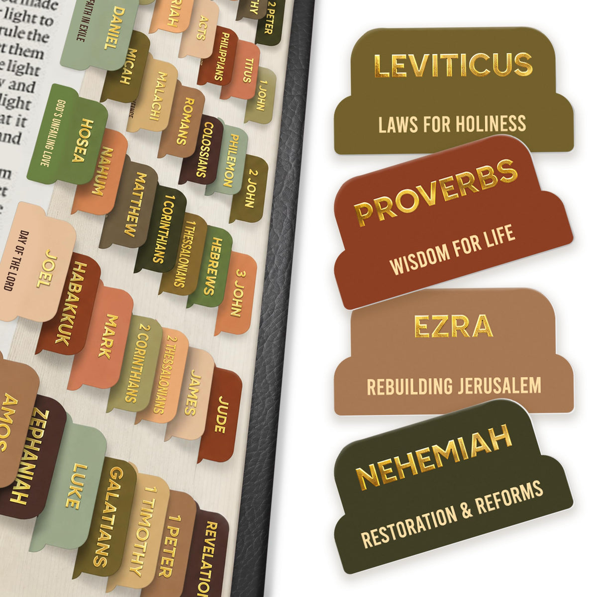 Premium Series – 66 Christian Bible Chapter Tabs