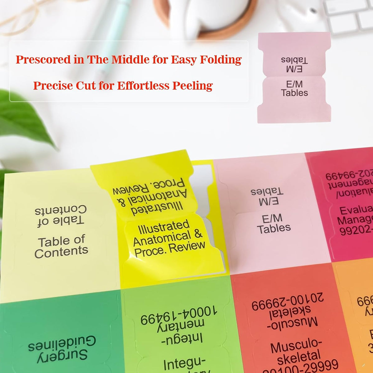 Index Tabs for AAPC Version ICD-10-CM 2026, Upgraded Complete Book Tabs Set (Book not Included), Color-Coded Tabs for Every Chapter with Code Ranges, Laminated & Waterproof & Repositionable